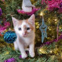 Photo of Tom