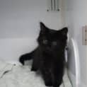 Photo of Betty