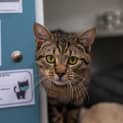 Photo of Tom