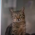 Photo of Tom