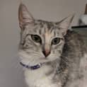 Photo of Sabrina