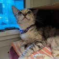 Photo of Sabrina