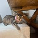Photo of Maggie