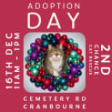 Photo of Linzer**2nd Chance Cat Rescue**