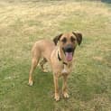 Photo of Moxie