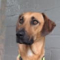 Photo of Moxie
