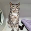 Photo of Mr Butters