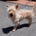 Photo of Bohdi