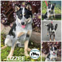 Photo of Lizzee