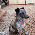 Photo of Fergus