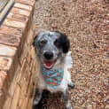 Photo of Fergus