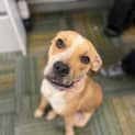 Photo of Baxter