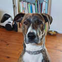 Photo of Sasha