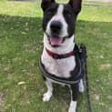 Photo of Hercules 