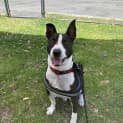 Photo of Hercules 
