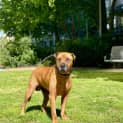Photo of Hunter