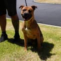 Photo of Reuben