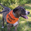 Photo of Max