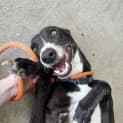 Photo of Bonty