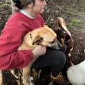 Photo of Liana