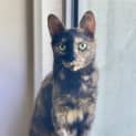 Photo of Adeline