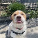Photo of Casper
