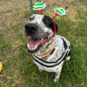 Photo of Polly