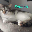Photo of Emmett