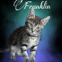 Photo of Franklin
