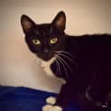 Photo of Louie 