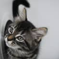 Photo of Gabby