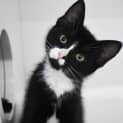 Photo of Quinn