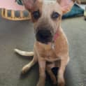 Photo of Jenny
