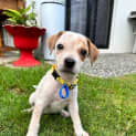 Photo of Agnes