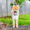 Photo of Kobe
