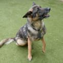 Photo of Tex