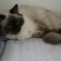 Photo of Mae