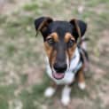 Photo of Buckley