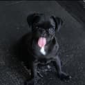 Photo of Darla