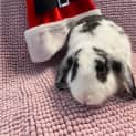 Photo of Marmite