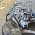 Photo of Lucas