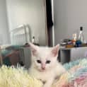 Photo of Noah