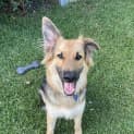 Photo of Frieda
