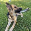 Photo of Frieda