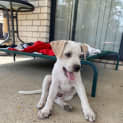 Photo of Tully