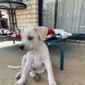 Photo of Tully