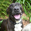 Photo of Marley