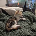 Photo of Kiki