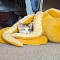 Photo of Kiki