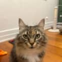 Photo of Angel